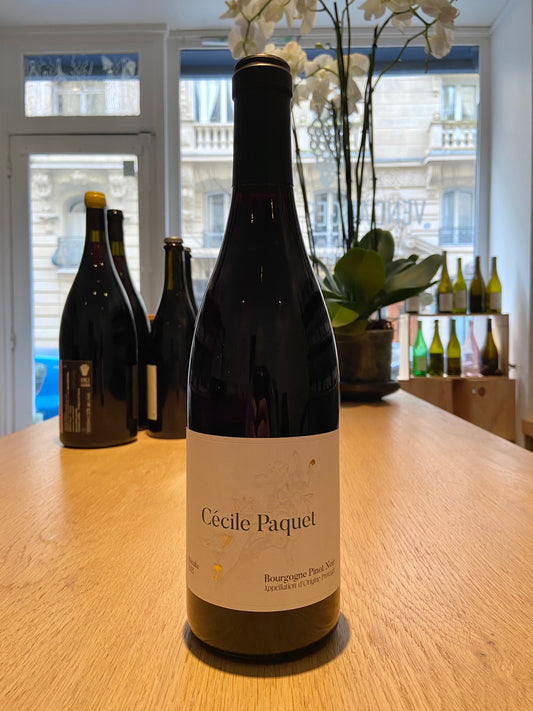 Cécile Paquet - Pinot Noir 2022